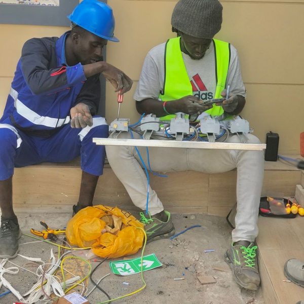 8e3d3507-b414-4136-9720-ac6664d1b0e0